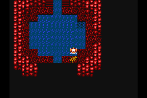 Metsästämme mikromuovia Metsästämme mikromuovia