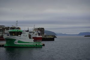 Hammerfest Hammefest