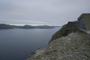 _DSC1705 – kopio _DSC1705 – kopio